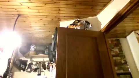 bernichaos77 online show from 02.21.26