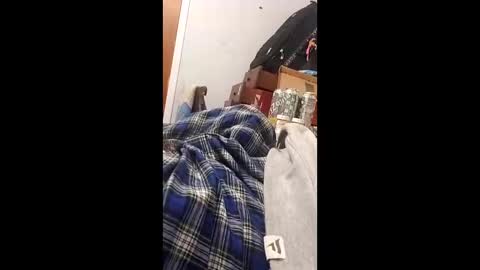 bertpace9296 online show from 05.23.26