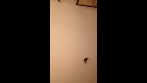 bgiamba21 online show from 03.14.26