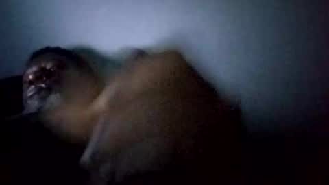 Snapshot of bi582945 chatting on 02.14.26 bi582945 online show from 02.14.26