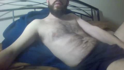 bibotguy online show from 12.19.24