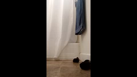 Snapshot of bibottom68942 chatting on 12.22.25 bibottom68942 online show from 12.22.25