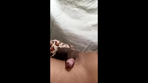 biel369737 online show from 03.02.26