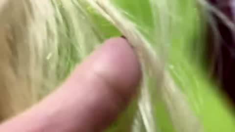 angela online show from 01.01.25