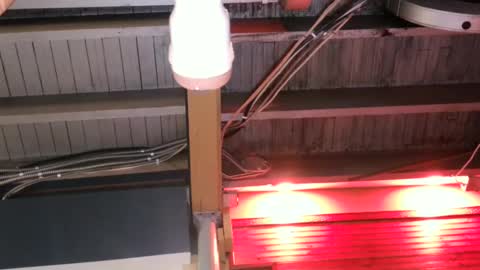 Straight Dave online show from 10.09.25