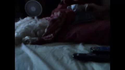 BB online show from 03.14.26