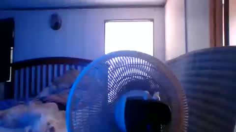 BB online show from 03.28.26