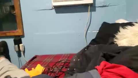 bigblu659 online show from 01.09.25