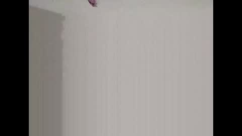 bigd23994 online show from 03.29.26