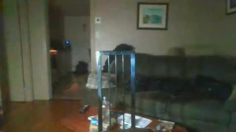 bigdeer581917471 online show from 02.01.25