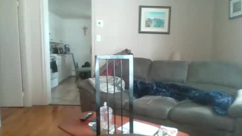 bigdeer581917471 online show from 02.02.25