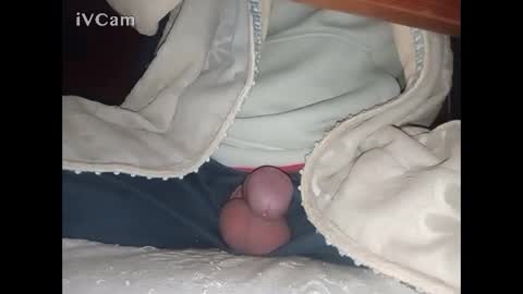 Big online show from 02.12.25