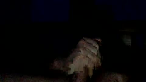 Snapshot of bigdickbcboy chatting on 11.11.25 BigThickJuicy Cock online show from 11.11.25