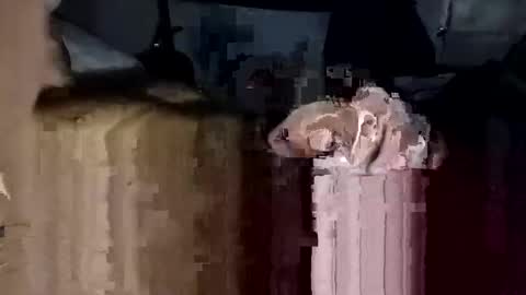 Snapshot of bigdickdaddy7201979564868 chatting on 11.23.25 bigdickdaddy7201979564868 online show from 11.23.25