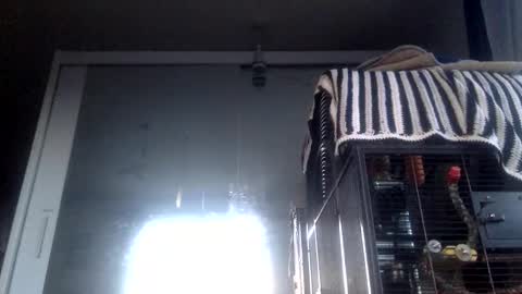 bigdickdangles472924 online show from 09.19.25