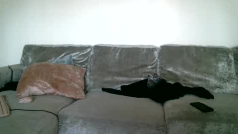 Snapshot of bigdickjimmywill chatting on 02.15.25 CAJEinc online show from 02.15.25