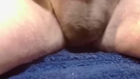 BigDog online show from 02.10.25