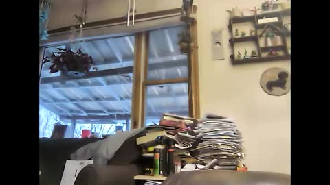 Snapshot of bigelectricrod chatting on 01.05.25 bigelectricrod online show from 01.05.25