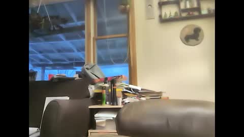 Snapshot of bigelectricrod chatting on 02.01.25 bigelectricrod online show from 02.01.25