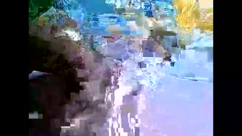 Snapshot of bigfatarabzobrr1994__ chatting on 12.11.24 Mr Alpha online show from 12.11.24