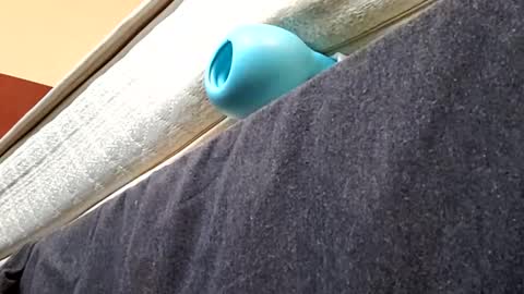 Snapshot of biggdaddyy5 chatting on 01.21.25 biggdaddyy5 online show from 01.21.25