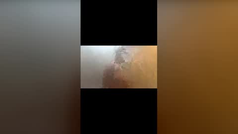 Gavin online show from 01.11.26