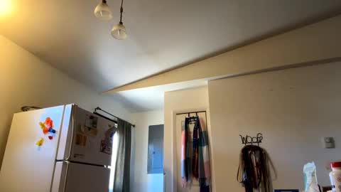 Daniel  Noelia online show from 02.27.25