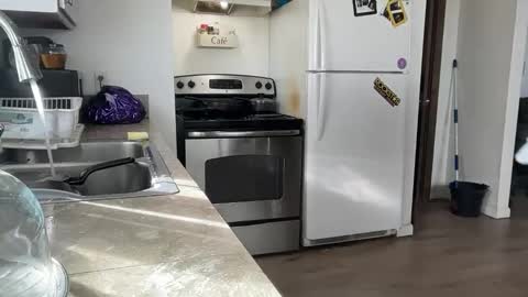 Daniel  Noelia online show from 11.27.25