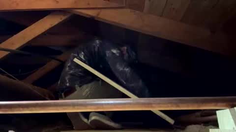 bigjim6646 online show from 09.21.25