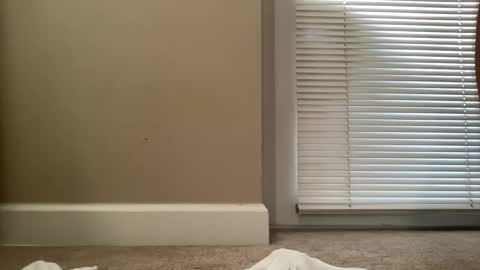 bigjohnsmith5 online show from 02.11.25