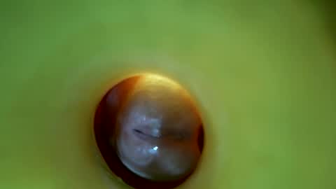 Snapshot of bigmoneycorey chatting on 03.16.26 bigmoneycorey online show from 03.16.26