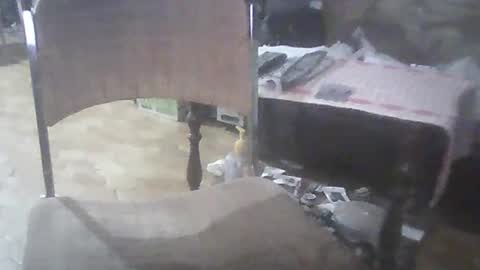 bigpenix online show from 03.02.25