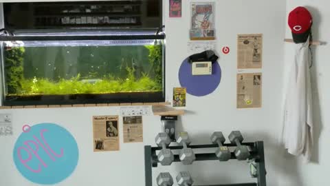 Jarvis online show from 02.14.25