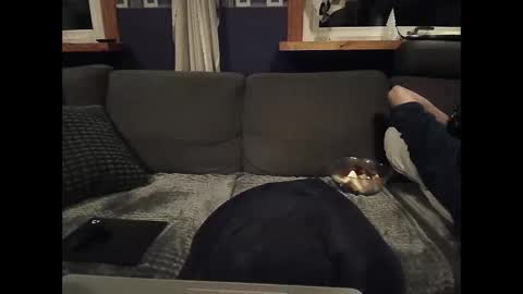 bigswe1 online show from 03.05.25