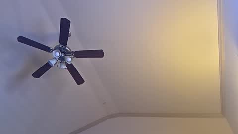 bigswoletroll online show from 03.12.26