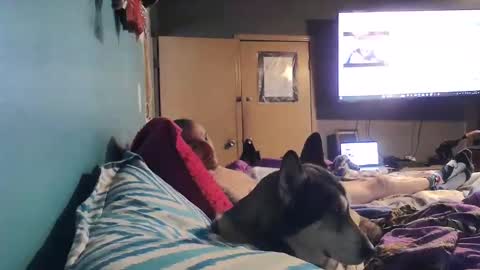 bigtomcat45 online show from 12.24.24