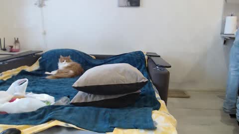 BigTwinsOmg online show from 02.20.26