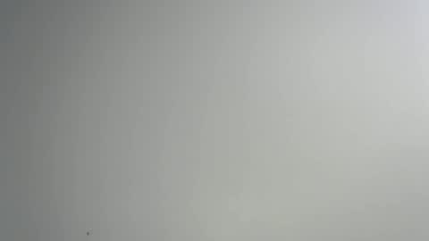 bigxcountry_39 online show from 02.15.26