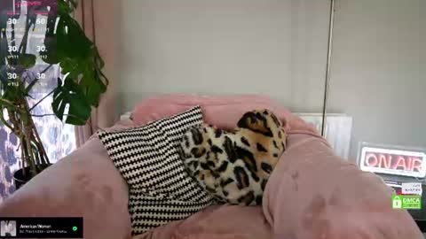 Snapshot of billiexxox chatting on 06.26.26 Billie online show from 06.26.26