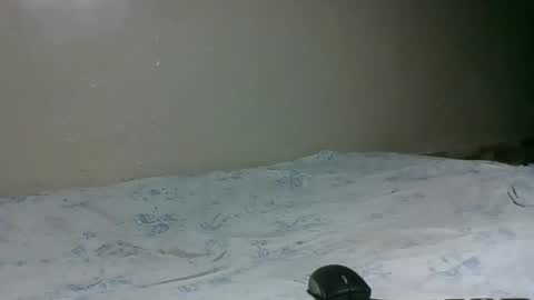 bitchcam_ online show from 11.28.25