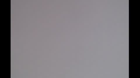 bivi  hot online show from 01.11.25