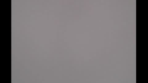 bivi  hot online show from 03.11.25