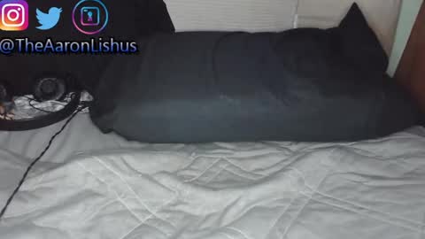 Snapshot of bizarre99 chatting on 01.13.25 bizarre99 online show from 01.13.25