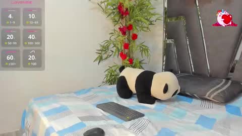 B L A C K  R O S E  online show from 02.26.25