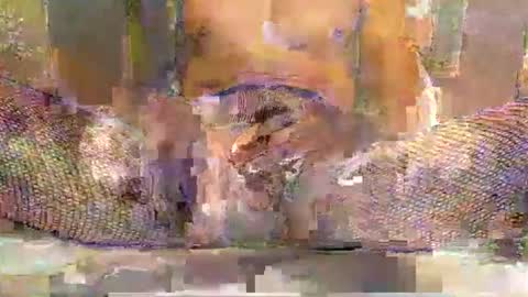 blackbigdickfr online show from 12.20.25