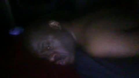 blackteddybear online show from 02.19.26