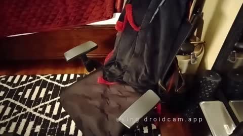 Blackjag00 online show from 03.03.25