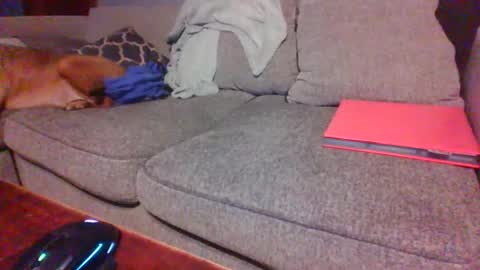 blaw_1321 online show from 12.01.25