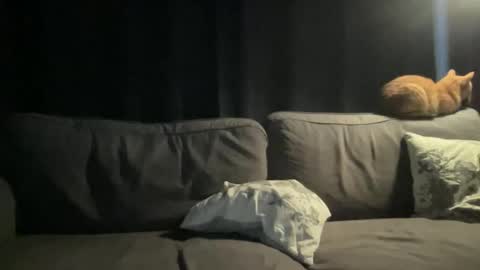 Snapshot of bllyidol chatting on 11.24.25 BlIdoL online show from 11.24.25