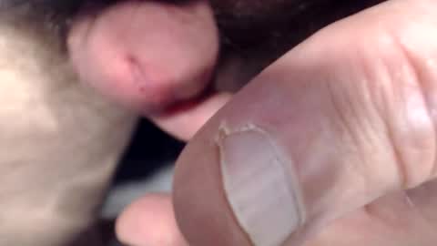 bobswan online show from 03.03.26